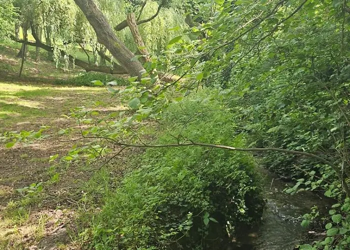Les Rochelles Casa vacanze Saint-Aubin-de-Terregatte